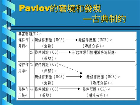 類化作用|古典制約